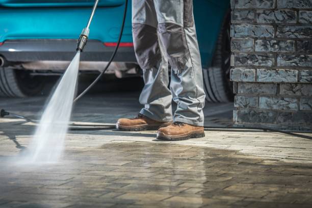 Best Winterizing Services  in Jonesboro, IL