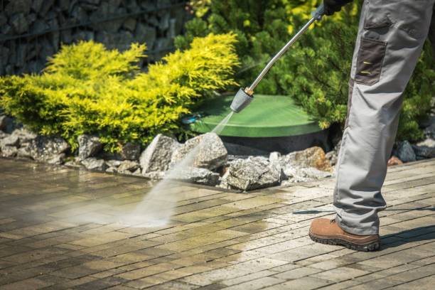 Best Boat and Dock Cleaning  in Jonesboro, IL