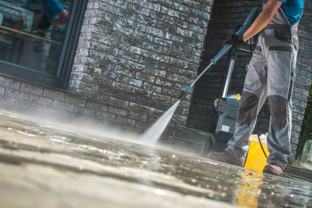 Best Soft Washing  in Jonesboro, IL